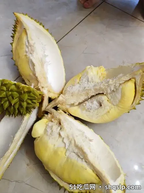 榴莲降价引爆“自由”热潮，中医教你吃对不伤身 - 51吃瓜网 - 今日热门内容推荐 shqslp.com
