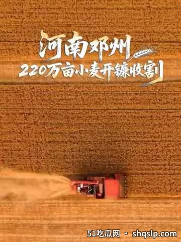 从220万亩麦浪到餐桌：全谷物饮食如何吃出健康新高度 - 51吃瓜网 - 今日热门内容推荐 shqslp.com